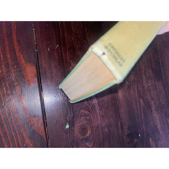 FLYING BLACK BIRDS THOMSON BURTIS AIR COMBAT PLANES 1932 HARDCOVER BOOK Vintage - Picture 5 of 9